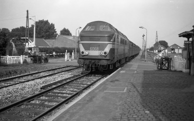 Boussu - DIEU F0343 (3).jpg